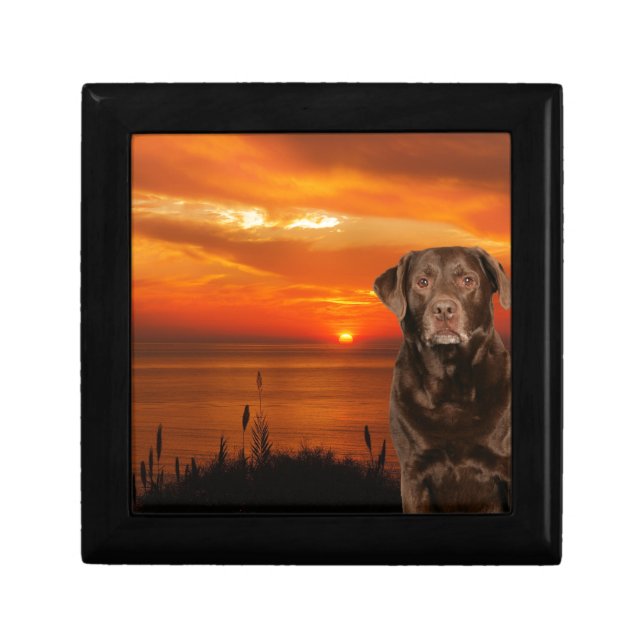 Labrador Retriever Dog Sitting beside Sunset Gift Box (Front)