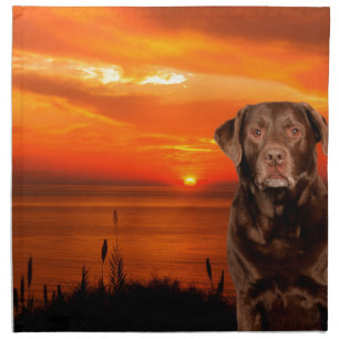 Labrador Retriever Dog Sitting beside Sunset Napkin