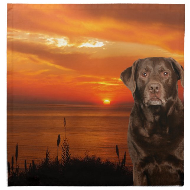 Labrador Retriever Dog Sitting beside Sunset Napkin (Front)