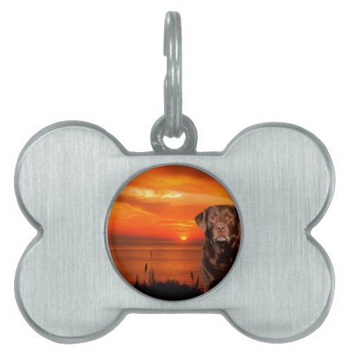 Labrador Retriever Dog Sitting beside Sunset Pet Name Tag