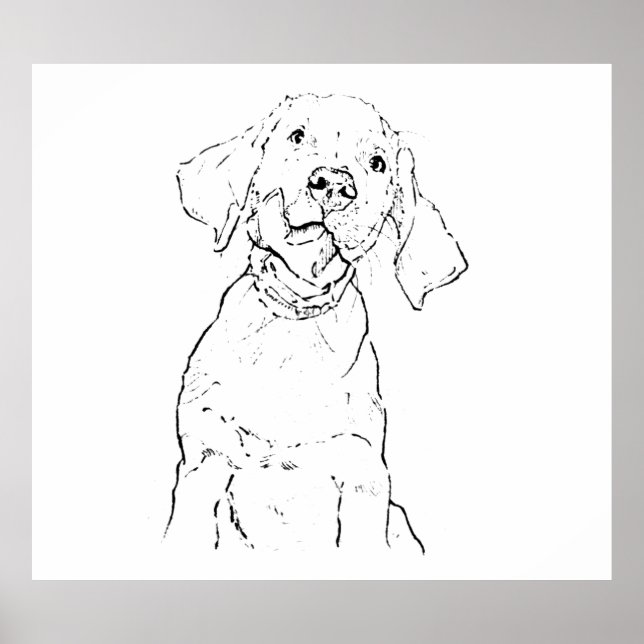 Labrador Retriever Dog Wall Art, Poster Drawing (Front)