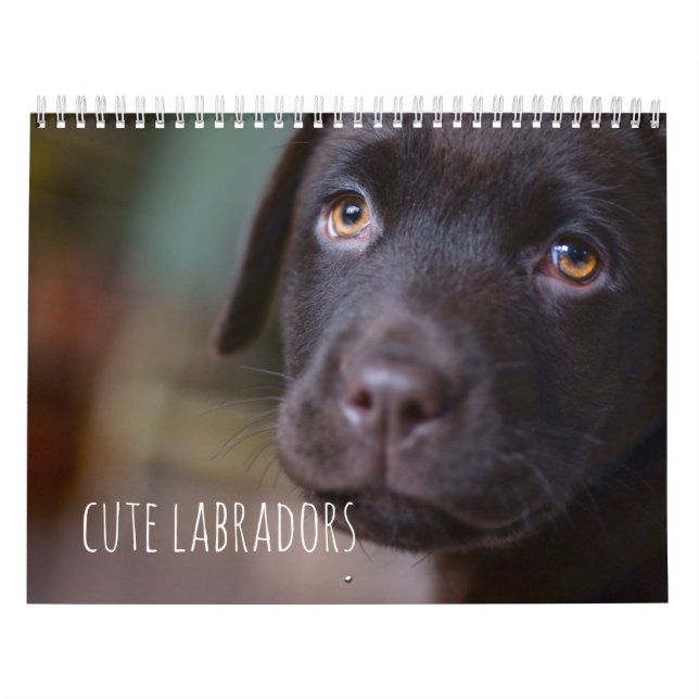 Labrador Retriever Dogs Calendar - Customizable (Cover)