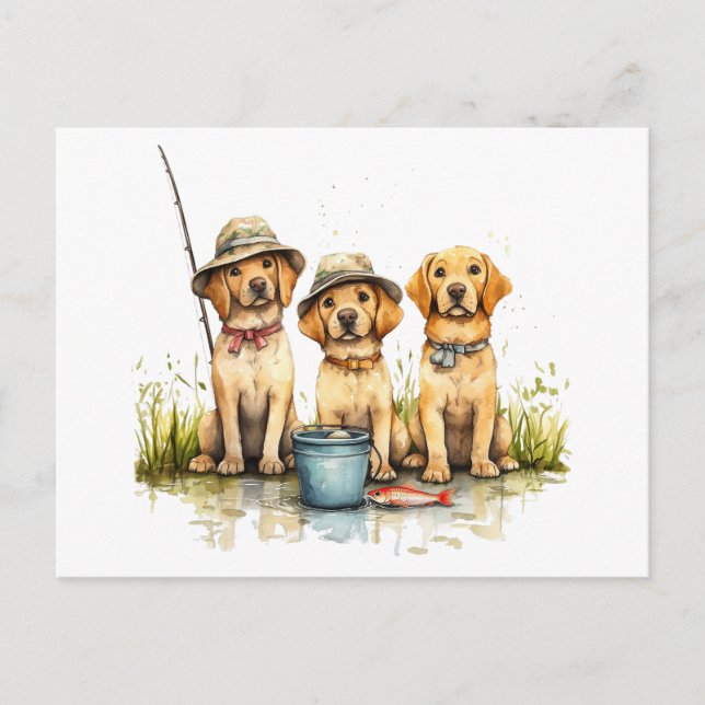 Labrador Retriever Dogs Fishing Postcard (Front)