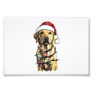 Labrador Retriever Dogs Tree Christmas Sweater Xma Photo Print