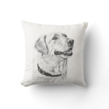 Labrador Retriever Drawing