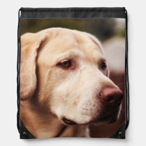Labrador Retriever Drawstring Bag