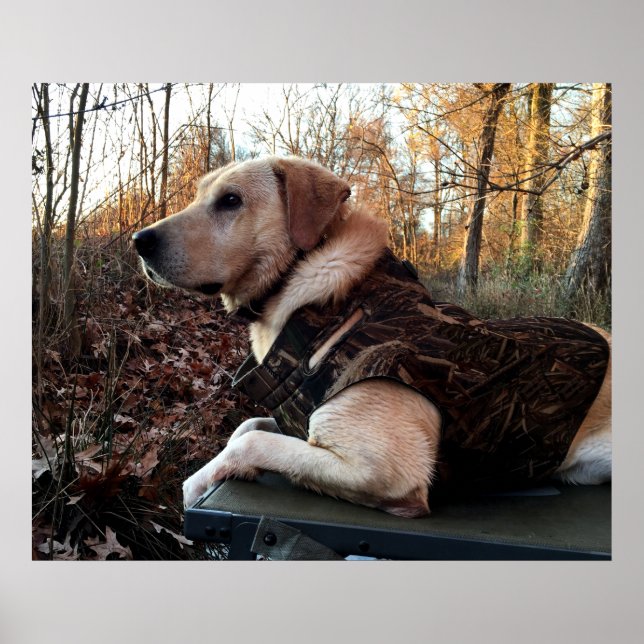 Labrador Retriever Duck Hunter's Ultimate Weapon Poster (Front)