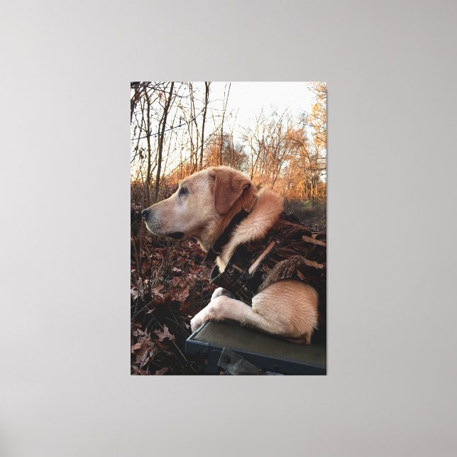 Labrador Retriever Duck Missile on the Launch Pad Canvas Print (Front)