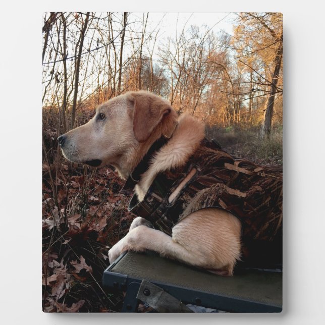 Labrador Retriever Duck Missile on the Launch Pad  Plaque (Front)