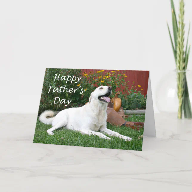 Labrador Retriever Father's Day card | Zazzle