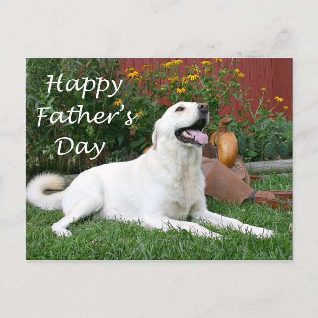 Labrador Retriever Father's Day postcard (Front)