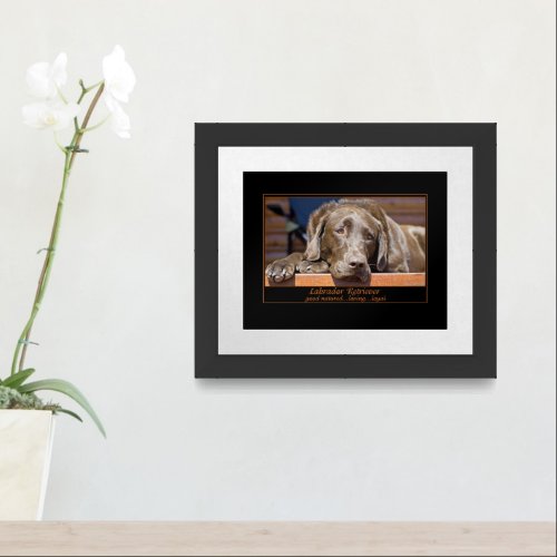 Labrador Retriever Framed Art