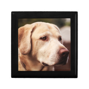 Labrador Retriever Gift Box