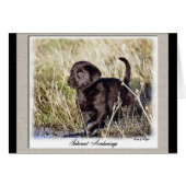 Labrador Retriever Gifts (Front Horizontal)