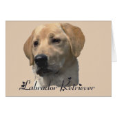 Labrador Retriever Gifts (Front Horizontal)