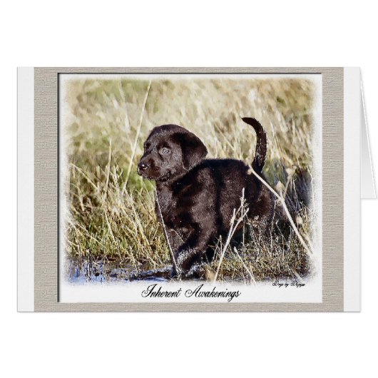 Labrador Retriever Gifts (Front Horizontal)
