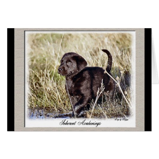 Labrador Retriever Gifts Cards (Front Horizontal)