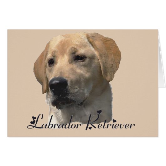 Labrador Retriever Gifts Cards (Front Horizontal)