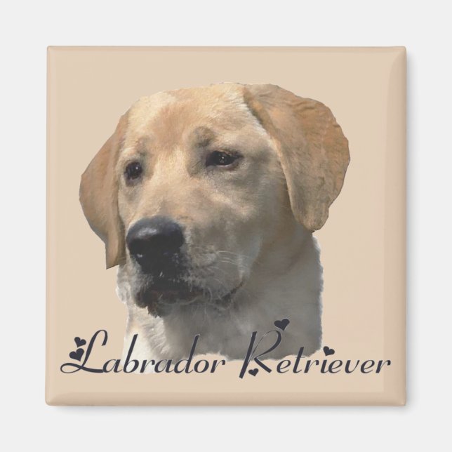 Labrador Retriever Gifts Yellow Lab Art Magnet (Front)