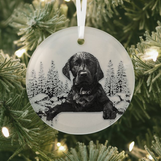 Labrador Retriever  Glass Ornament (Insitu)