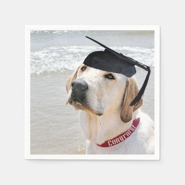 Labrador Retriever Graduate With Cap Napkins (Front)