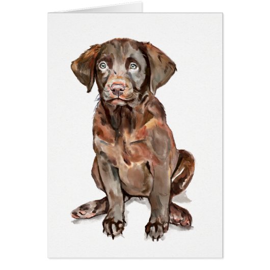 Labrador Retriever Greeting Card (Front)