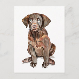 Labrador Retriever Greeting Card