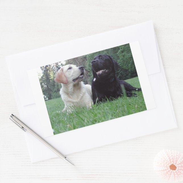 labrador retriever group rectangular sticker (Envelope)
