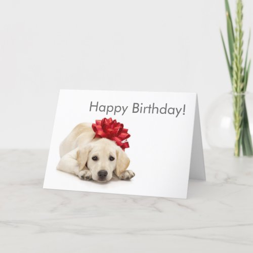 Labrador Retriever Happy Birthday Card