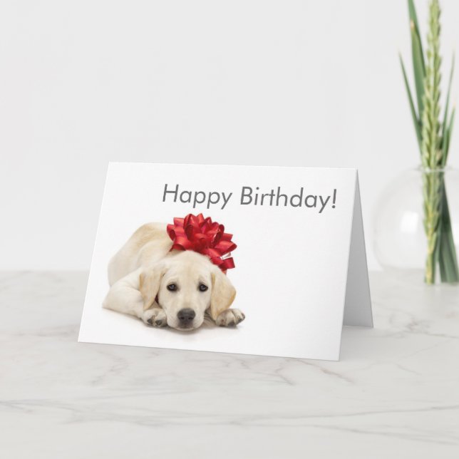 Labrador Retriever Happy Birthday Card (Front)
