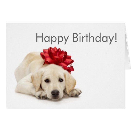 Labrador Retriever Happy Birthday Card | Zazzle.com
