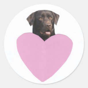 Labrador Retriever Happy Valentine's Day Classic Round Sticker