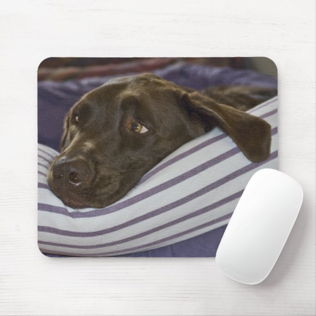 Labrador Retriever In Bed Mouse Pad (With Mouse)