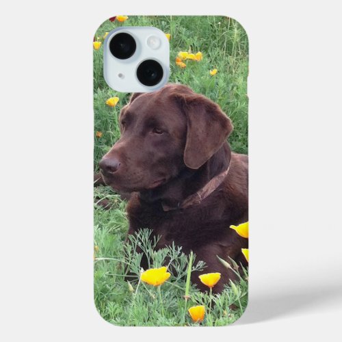 Labrador Retriever In Nature Close_Up Photograph iPhone 15 Case