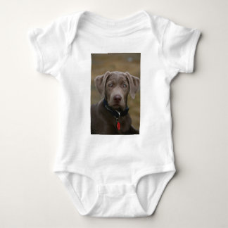 Labrador Retriever In Rare Light Silver Baby Bodysuit