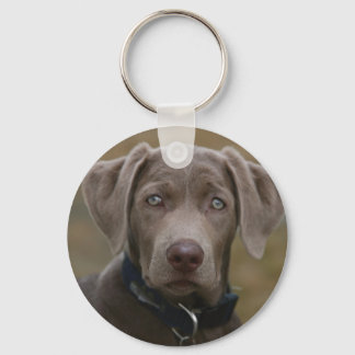 Labrador Retriever In Rare Light Silver Keychain