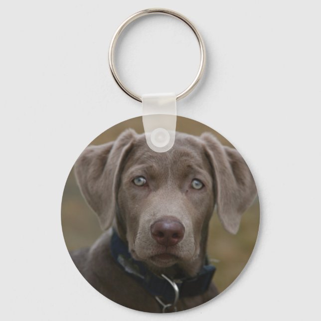 Labrador Retriever In Rare Light Silver Keychain (Front)