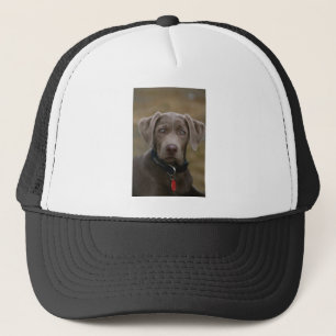 Labrador Retriever In Rare Light Silver Trucker Hat