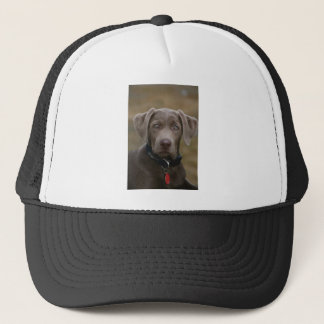 Labrador Retriever In Rare Light Silver Trucker Hat