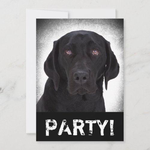 Labrador Retriever Invitation