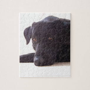 labrador retriever jigsaw puzzle