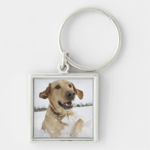 Labrador retriever jumping through deep snow keychain