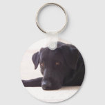 Labrador Retriever Keychain at Zazzle