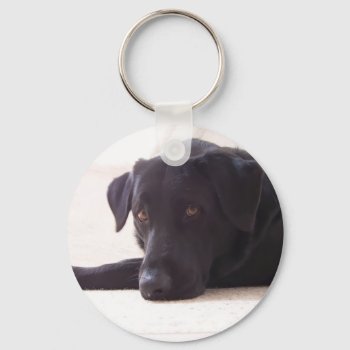 Labrador Retriever Keychain by foxygrlz at Zazzle