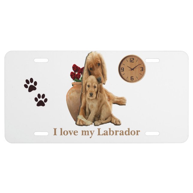 Labrador retriever license plate (Front)