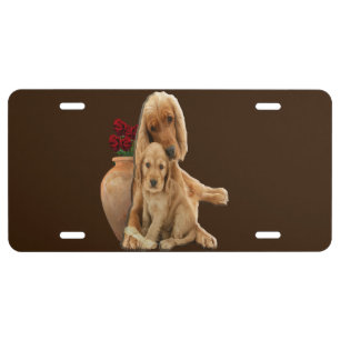 Labrador retriever license plate