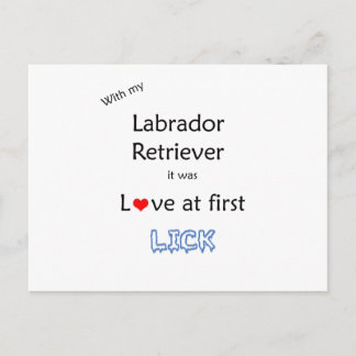 Labrador Retriever Lick Design Postcard