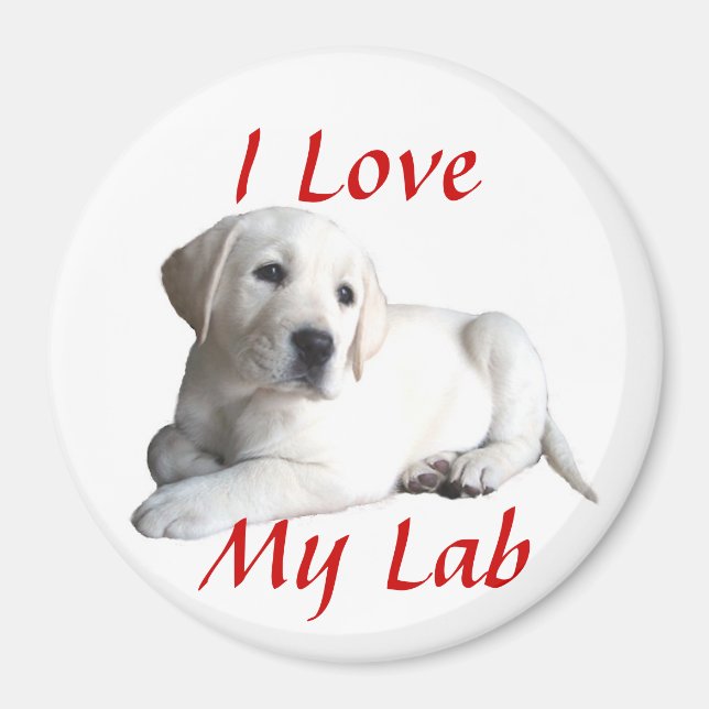 Labrador Retriever Love Magnet (Front)
