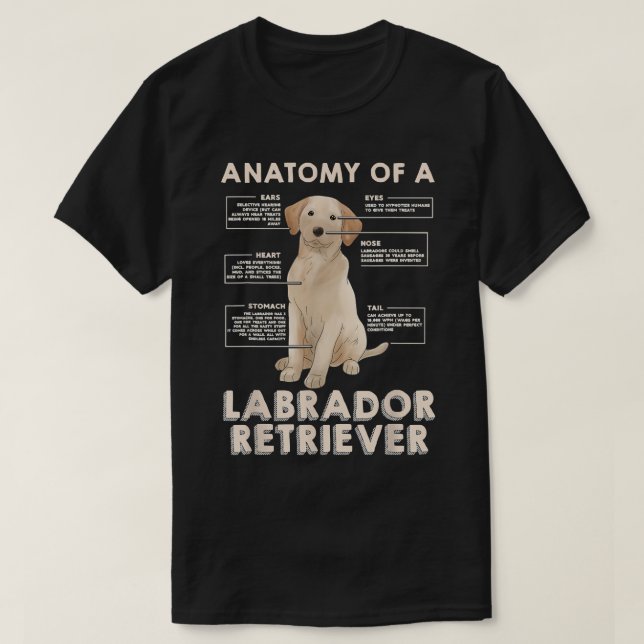 Labrador Retriever Lover Funny Anatomy of a Labrad T-Shirt (Design Front)