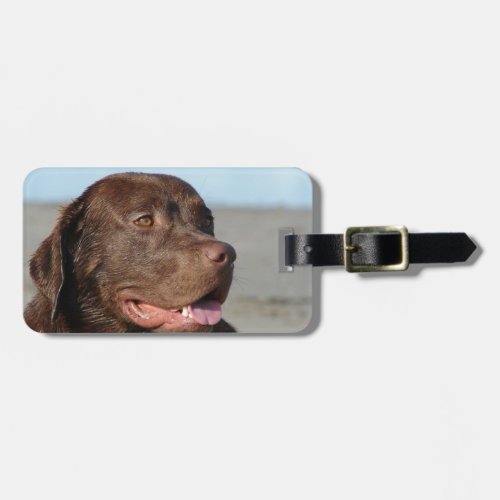 Labrador Retriever Luggage Tag